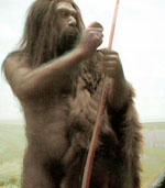Neanderthals were not stupid, indicates new evidence