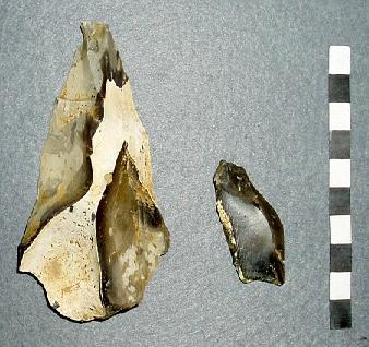 Neanderthals-UK