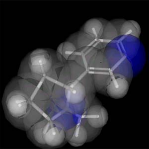 Nicotine takes more time to reach brain than thought previously