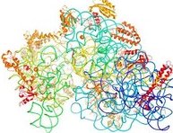Israeli Nobel chemistry winner "pretty surprised" by award