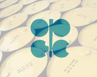 OPEC oil price sheds 1.64 dollars