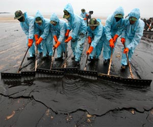Scientists Discover New Strain Of Bacteria To Clean Oil Spill