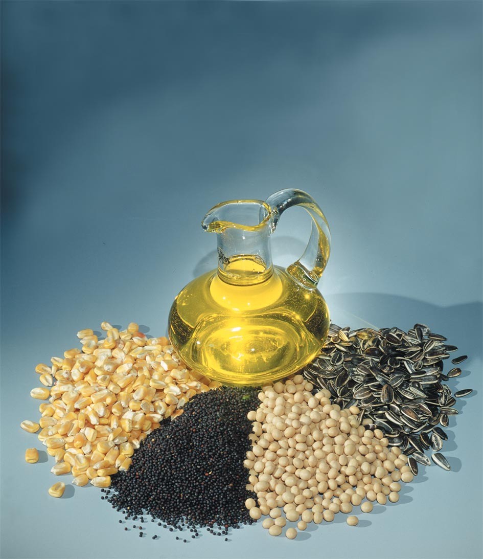  Oil And Oilseeds Market Watch By Nirmal Bang Securities           