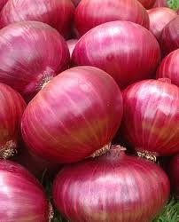 Government not likely to impose MEP on onions