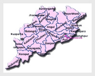 Raids on leading Orissa mining company