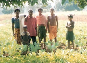 Faulty crop procurement policy worries Orissa farmers