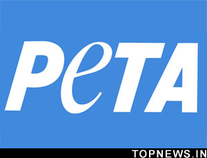 PETA rescues 11 injured dogs and four 22-day-old puppies from SPCA