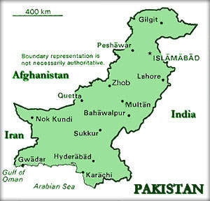 Top Punjabi Taliban commanders captured