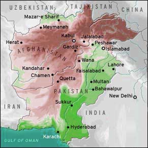 Five killed in Afghanistan attacks 