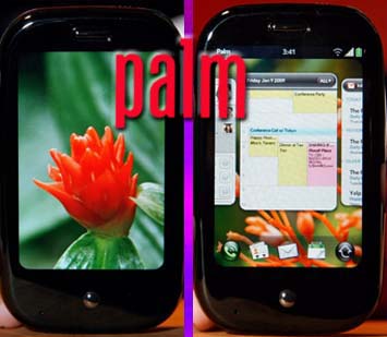 Palm