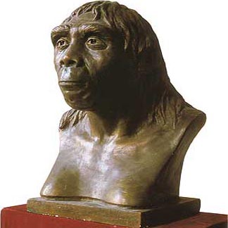 First Human Found