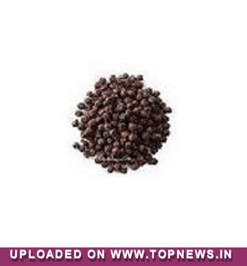 Pepper