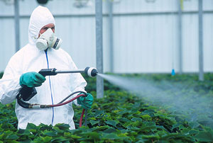 Pesticides