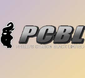 Buy Phillips Carbon Black Ltd. For Long Term: Nirmal Bang