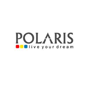 Polaris Software Has Good Support At Rs 175-180