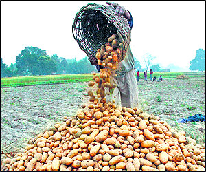 Poor farm technology responsible for food inflation: report 
