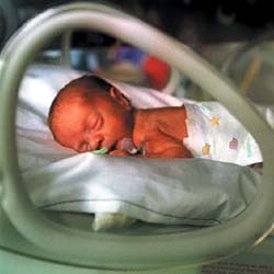Premature Birth Risk Is Genetic, Say Researchers