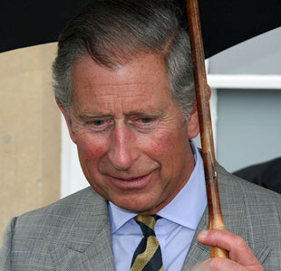 100 months left to save the planet, says Prince Charles