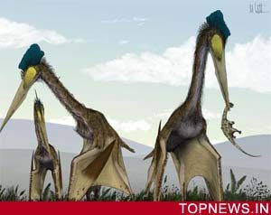 Giant Pterosaurs were too heavy to fly, says scientist