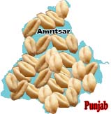 punjab, Amritsar