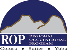 ROP diagnosis