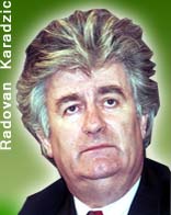 Former Bosnian-Serb leader Karadzic declines to enter plea 