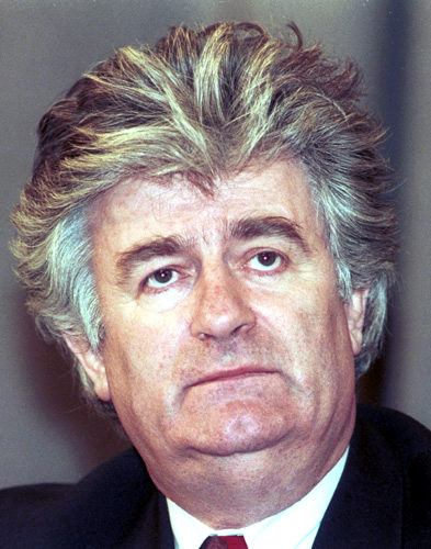 Czechs hail Karadzic arrest as "positive signal" by Serbia 