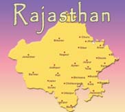   Nine killed in Rajasthan road accident  