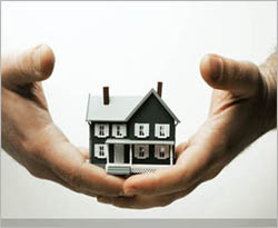 Home building takes huge plunge