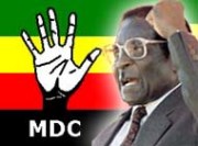 Zimbabwe impasse on unity government over: MDC, Zanu-PF 
