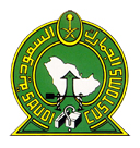 Custom officials cease massive amount of drugs in Saudi Arabia  