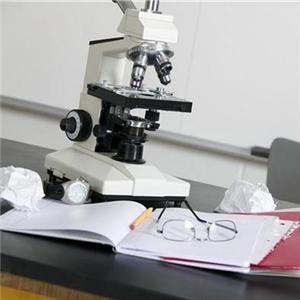 Scientists release life operating system by genetic code alteration