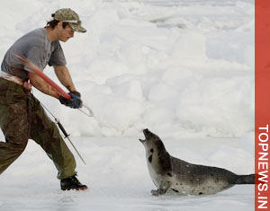 Seal-hunt opponents target Hong Kong-China fur trade