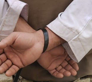 Seven Taliban members arrested in killing of NATO troops