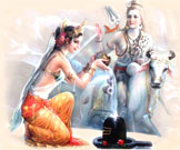  Jodhpur celebrates Lord Shiva wedding