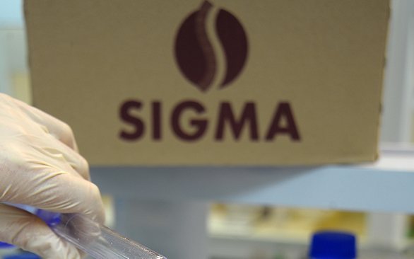 Central acquisition boosted wholesale business, says Sigma