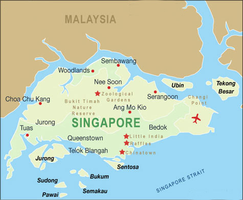 Picture Singapore Government on Singapore Government Extends Financial Support By A Year Topnews