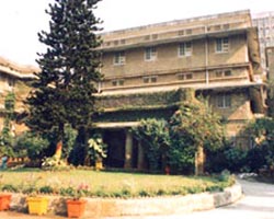 Trained Staff Shortage Killed Woman