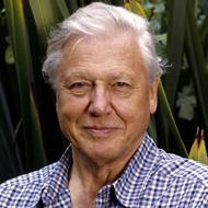 Sir David Attenborough bags Bafta, 48 years after first win