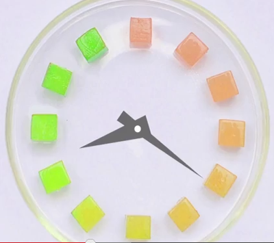 'Smart' tags to tell if your food is spoiled