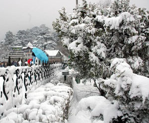 Snowfall forces closure of Manali-Leh highway