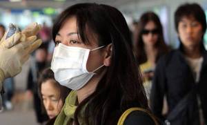 South Korea swine flu toll rises to 45 