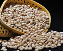 Soyabean