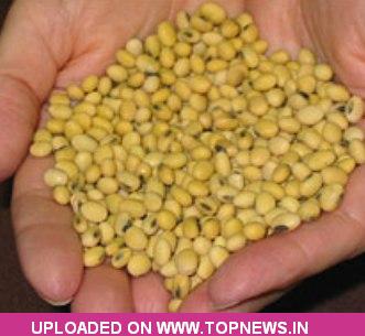 Commodity Trading Tips for Soyabean by KediaCommodity