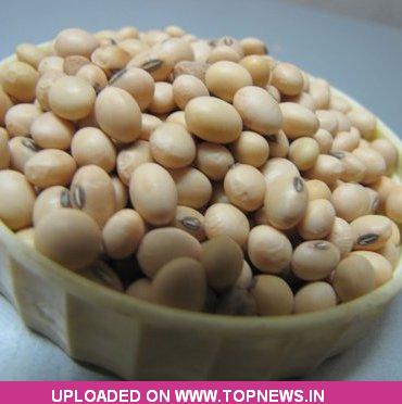 Commodity Trading Tips for Soyabean by KediaCommodity