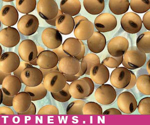 Commodity Trading Tips for Soyabean by KediaCommodity