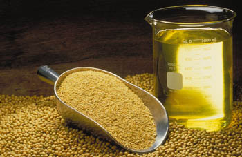 Commodity Trading Tips for Soyabean by Kedia Commodity