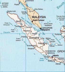 Wild elephants kill elderly woman in Sumatra 