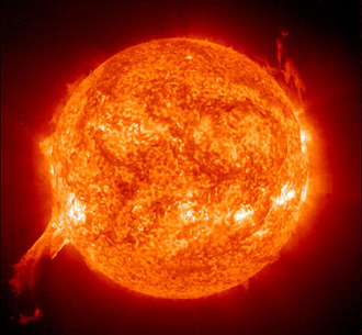 How living things capture energy from the Sun decoded 