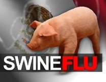 Japan confirms three cases of swine-flu infections 